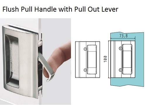Glass Door Handle -Flush Pull Handle with Pull Out Lever